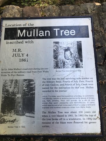4th of July inscription in Mullan Tree
