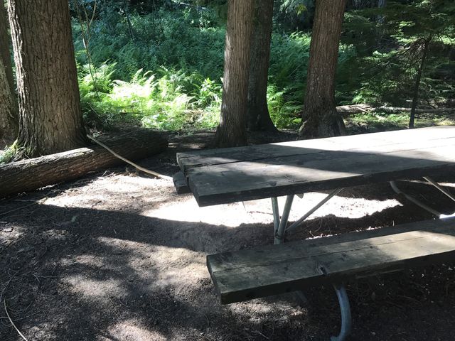 Theres a picnic table near the trailhead